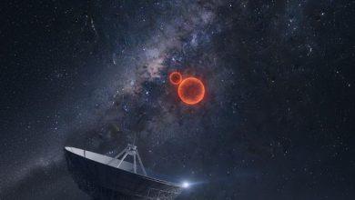 金牛座驚現超冷矮星新伴星!天文學家捕捉行星級天體奇景 4 2 11