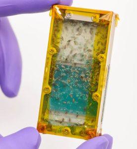 NASA將昆蟲帶上月球與火星 小生物成太空農業新明星 1 2 18