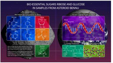 NASA發現Bennu小行星中糖分子與太空口香糖 助解生命起源之謎 4 3 4