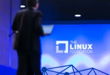 46304026842 d93be3ca4e o 1