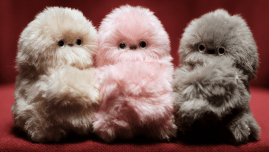 療癒系陪伴機器人Mirumi登上募資平台 靠撒嬌與好奇表情融化人心 4 螢幕擷取畫面 2025 12 05 163129