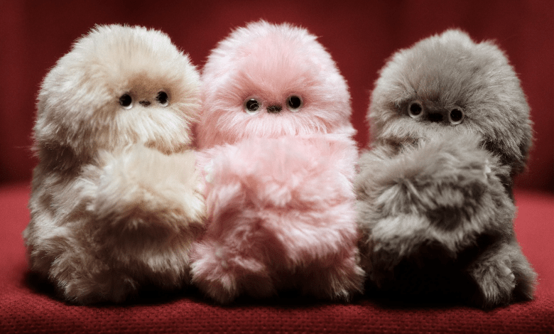 螢幕擷取畫面 2025 12 05 163129