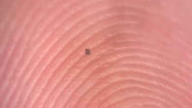 螢幕擷取畫面 2025 12 17 165229