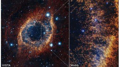 這張由可見光與紅外線天文望遠鏡（Visible and Infrared Telescope for Astronomy）拍攝的赫利克斯星雲（Helix Nebula）影像（左）展示了整個行星狀星雲的全景，而影像中的方框則標示了詹姆斯‧韋伯太空望遠鏡（James Webb Space Telescope, JWST）近紅外相機（NIRCam）拍攝的較小視野範圍（右）。（圖／NASA, ESA, CSA, STScI, A. Pagan (STScI)）