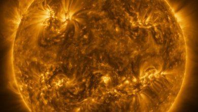 太陽軌道器拍下耀斑前雪崩效應 揭示能量釋放之謎 4 這是太陽軌道飛行器在距離地球約7500萬公里處拍攝的太陽極紫外光影像(圖/取自ESA & NASA/Solar Orbiter/EUI team)