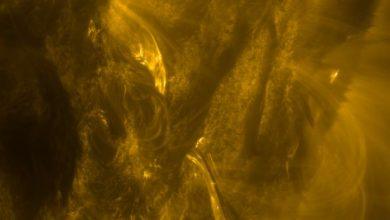 太陽爆發強烈的 M 級耀斑前一秒拍攝的一張照片。（圖／取自ESA & NASA/Solar Orbiter/EUI team）