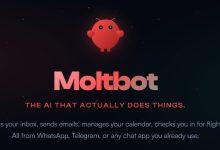 （圖／擷取自clawdbot官網）