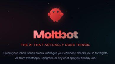 （圖／擷取自clawdbot官網）