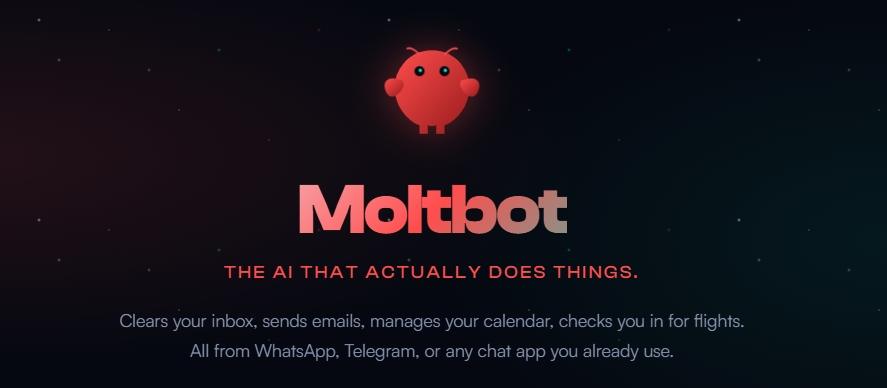 精選 5 (圖/擷取自clawdbot官網)