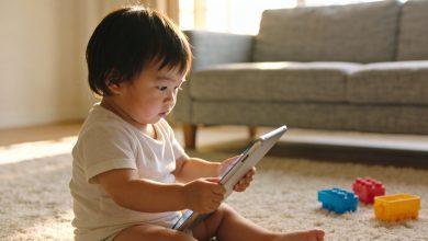 2384905b 0533 43dd 8401 5fa4cfcf1a7f