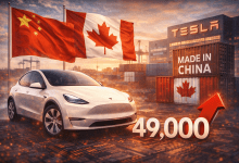 ChatGPT Image 2026年1月20日 上午11 34 35