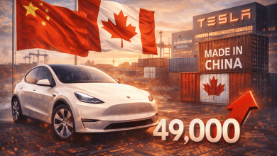 ChatGPT Image 2026年1月20日 上午11 34 35