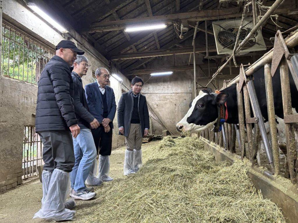 研華攜手台大生物資源暨農學院，共同建置智慧乳牛畜舍解決方案。（圖／研華提供）