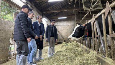 研華攜手台大生物資源暨農學院，共同建置智慧乳牛畜舍解決方案。（圖／研華提供）