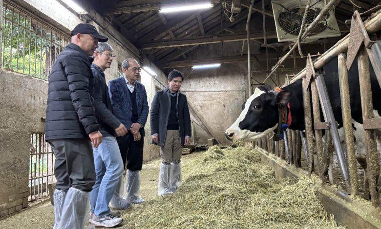 研華攜手台大生物資源暨農學院，共同建置智慧乳牛畜舍解決方案。（圖／研華提供）
