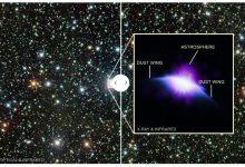 這張來自智利Cerro Tololo Inter-American Observatory的光學影像，展示了HD 61005所處的恆星背景。圖中，這顆恆星以閃亮的白點呈現，周圍散布著大小不一、同樣閃耀的其他恆星點。整個畫面充滿了各色微光點，包括藍色、白色、金色、綠色和紅色。（圖／取自NASA）