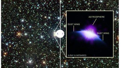 這張來自智利Cerro Tololo Inter-American Observatory的光學影像，展示了HD 61005所處的恆星背景。圖中，這顆恆星以閃亮的白點呈現，周圍散布著大小不一、同樣閃耀的其他恆星點。整個畫面充滿了各色微光點，包括藍色、白色、金色、綠色和紅色。（圖／取自NASA）