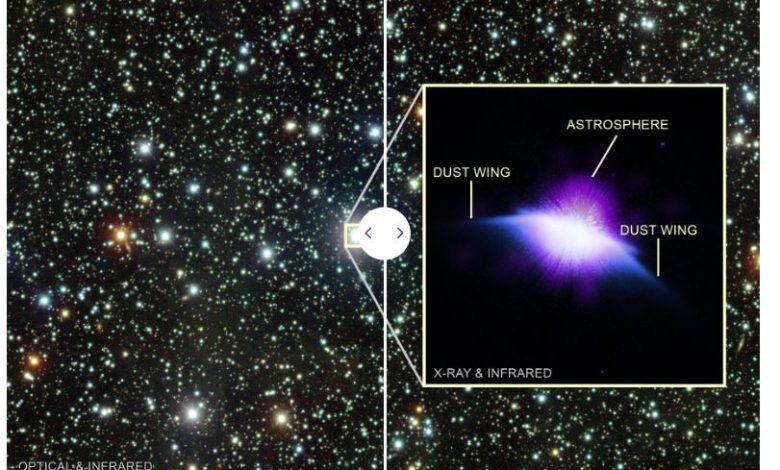 這張來自智利Cerro Tololo Inter-American Observatory的光學影像，展示了HD 61005所處的恆星背景。圖中，這顆恆星以閃亮的白點呈現，周圍散布著大小不一、同樣閃耀的其他恆星點。整個畫面充滿了各色微光點，包括藍色、白色、金色、綠色和紅色。（圖／取自NASA）