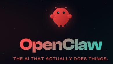 （圖／擷取自openclaw.ai官方網站）