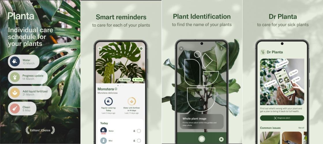 【懶人包】從剩食盲盒到植物通靈!精選5款怪奇App開拓你的數位體驗 3 和1000 萬植物愛好者和 4000 萬棵蓬勃發展的植物們,一起把自己的花園陽台打造成鬱鬱蔥蔥的綠洲吧!(圖/擷取自App Store)