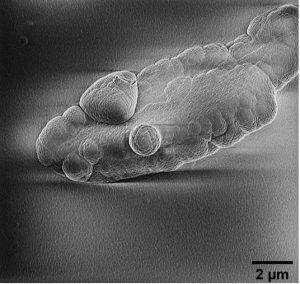博士生在實驗室重現宇宙塵 揭示地球生命化學起源 1 2 1