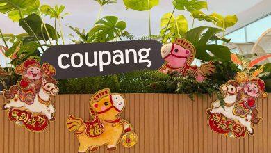 馬年迎春喜慶燈籠掛飾於Coupang酷澎齊備，新春優惠價入手，為新年添喜氣。