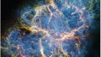 大多數脈衝星的射電波譜較寬且雜亂，不像蟹脈衝星的訊號有如此清晰的條帶。圖中為由美國航空暨太空總署（NASA）的詹姆斯•韋伯太空望遠鏡（James Webb Space Telescope）拍攝的蟹狀星雲影像。（圖／取自NASA）