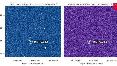 這組影像顯示2026年2月6日由SPARCS太空望遠鏡觀測的恆星：左為近紫外線，右為遠紫外線。能在遠紫外線看到的恆星最熱，而近紫外線則可見多顆恆星。（圖／NASA/JPL-Caltech/ASU）