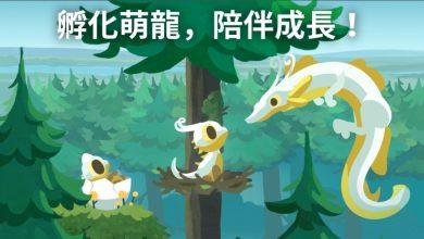 發現前所未見的萌龍！在這裡，你將結識數百種獨一無二的龍，透過孵化與養育，揭開牠們的身世之謎，陪伴牠們成長。從頑皮的貓貓龍到稀有的藍鈴花龍，每一條新龍的到來，都會為這個溫暖祥和的世界注入生機。（圖／擷取自google Play）