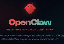 （圖／擷取自OpenClaw官方網站）