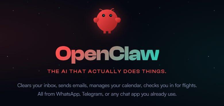 （圖／擷取自OpenClaw官方網站）