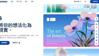 （圖／擷取Gamma官方網站）