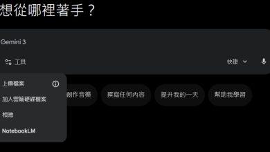 （圖／擷取自Gemini）