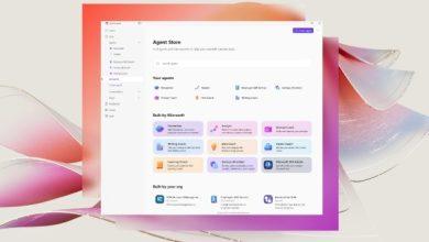 （圖／擷取自微軟官方網站）
