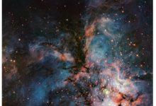 本週最佳圖片由歐洲南方天文台甚大望遠鏡（VLT）拍攝，畫面中似乎捕捉到了一隻正在展翅翱翔的宇宙雄鷹。（圖／ESO）