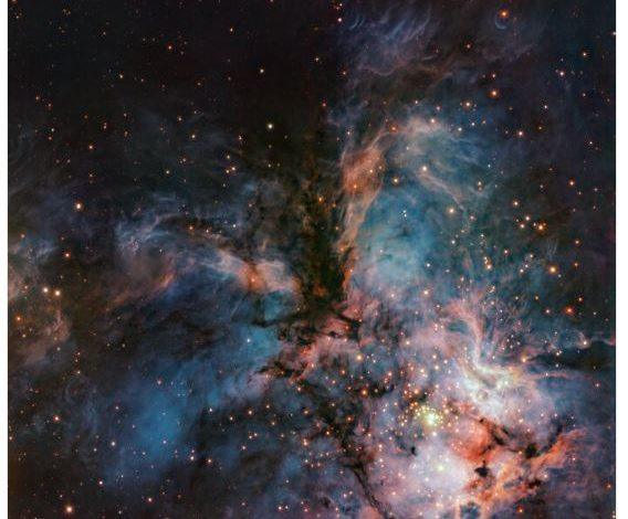 本週最佳圖片由歐洲南方天文台甚大望遠鏡（VLT）拍攝，畫面中似乎捕捉到了一隻正在展翅翱翔的宇宙雄鷹。（圖／ESO）