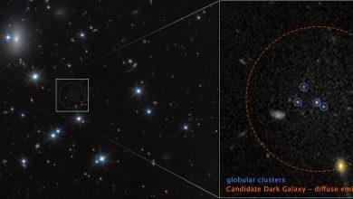 NASA哈伯望遠鏡影像顯示暗物質星系CDG‑2（紅色虛線圈內），透過四個球狀星團（藍圈）發現，背景星系無關。（圖／取自NASA）