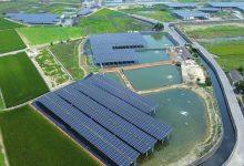 永鑫能源今（24）日宣布簽署一項具指標性的企業購電協議，為台灣電網提供新的再生能源，並助力Google供應鏈去碳化。（圖／永鑫能源提供）