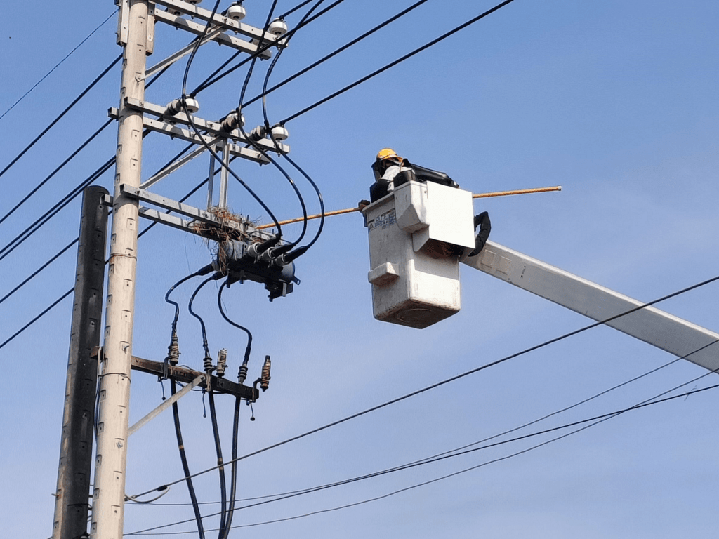 台電今（5）日啟動驚蟄穩定供電專案，橫跨配電、輸電與發電系統，動員超過4000人，投入鳥巢摘除、樹木修剪、加裝驅鳥器及防蛇/鼠網、管線孔隙封塞，以及線路設備檢測、更新汰換及防護改善等措施，強化供電韌性，努力降低鳥獸等外力造成的停電事故。（圖／台電提供）