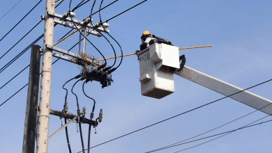 台電今（5）日啟動驚蟄穩定供電專案，橫跨配電、輸電與發電系統，動員超過4000人，投入鳥巢摘除、樹木修剪、加裝驅鳥器及防蛇/鼠網、管線孔隙封塞，以及線路設備檢測、更新汰換及防護改善等措施，強化供電韌性，努力降低鳥獸等外力造成的停電事故。（圖／台電提供）