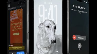 iPhone螢幕底部都有一條細長的橫條，正式名稱為「主畫面指示器」。（圖／截取自蘋果）