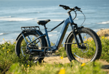 螢幕擷取畫面 2026 03 12 115840