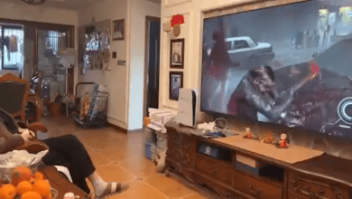 91歲的中國遊戲實況主楊炳林，主要活躍於bilibili，近日他在沒有任何攻略的情況下通關了《惡靈古堡：安魂曲》。（圖／擷取自@nexta_tv X）