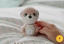 poketomo（圖／aquosmobile官方網站）