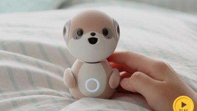 poketomo（圖／aquosmobile官方網站）