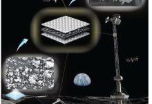 重新構想月球塵埃：一種新型纖維增強聚合物基複合材料增強材料（圖／Advanced Engineering Materials,2026）