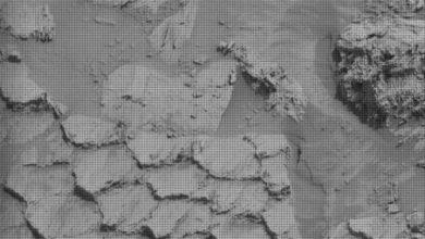 NASA「好奇號」探測車近期傳回火星地表影像，外觀近似「龍鱗」或蜂巢結構，引發關注。（圖／NASA／JPL）