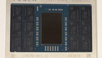 Tesla A15 Elon Musk Tape Out