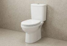 由南韓世宗大學食品科學家Hakdong Shin領導的研究團隊表示，不同排便頻率對腸道微生物組成會產生明顯且持續的差異。（圖／AI生成）