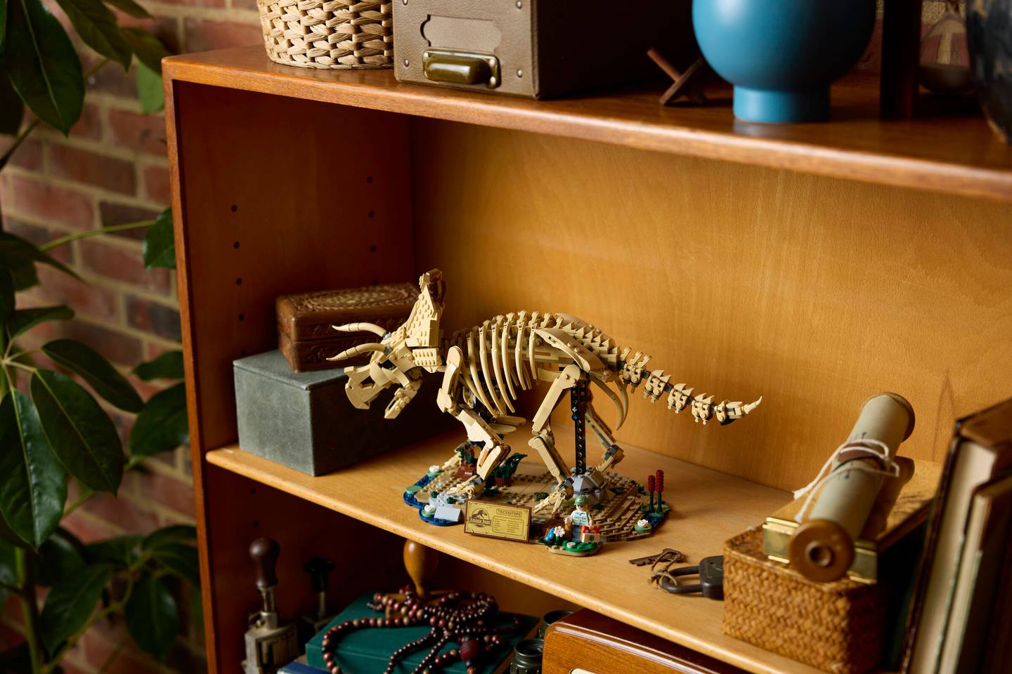 《恐龍化石：三角龍》#77985 （圖／取自logo官網）